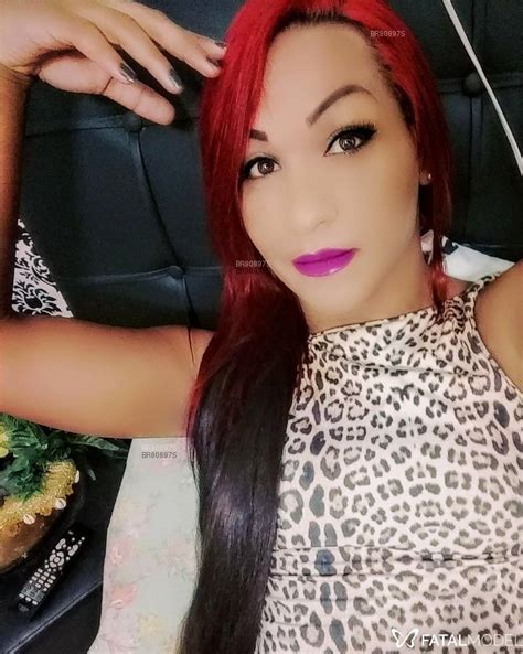 acompanhante de luxo em caraguatatuba|Acompanhantes mulheres em Caraguatatuba